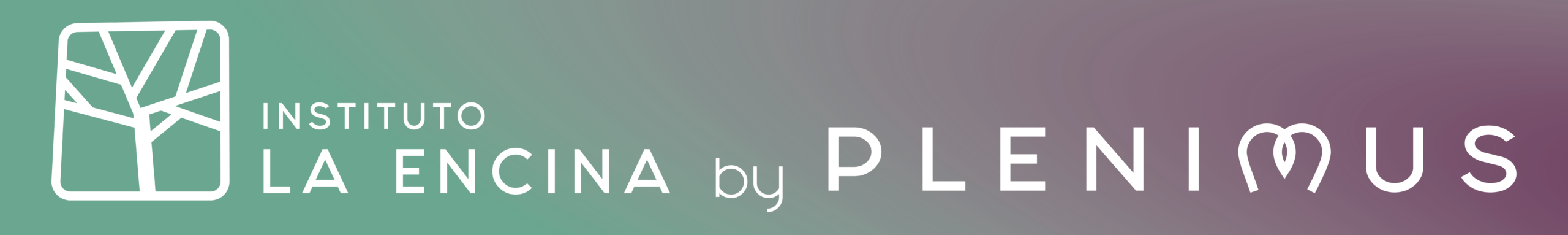 Instituto La Encina by Plenimus