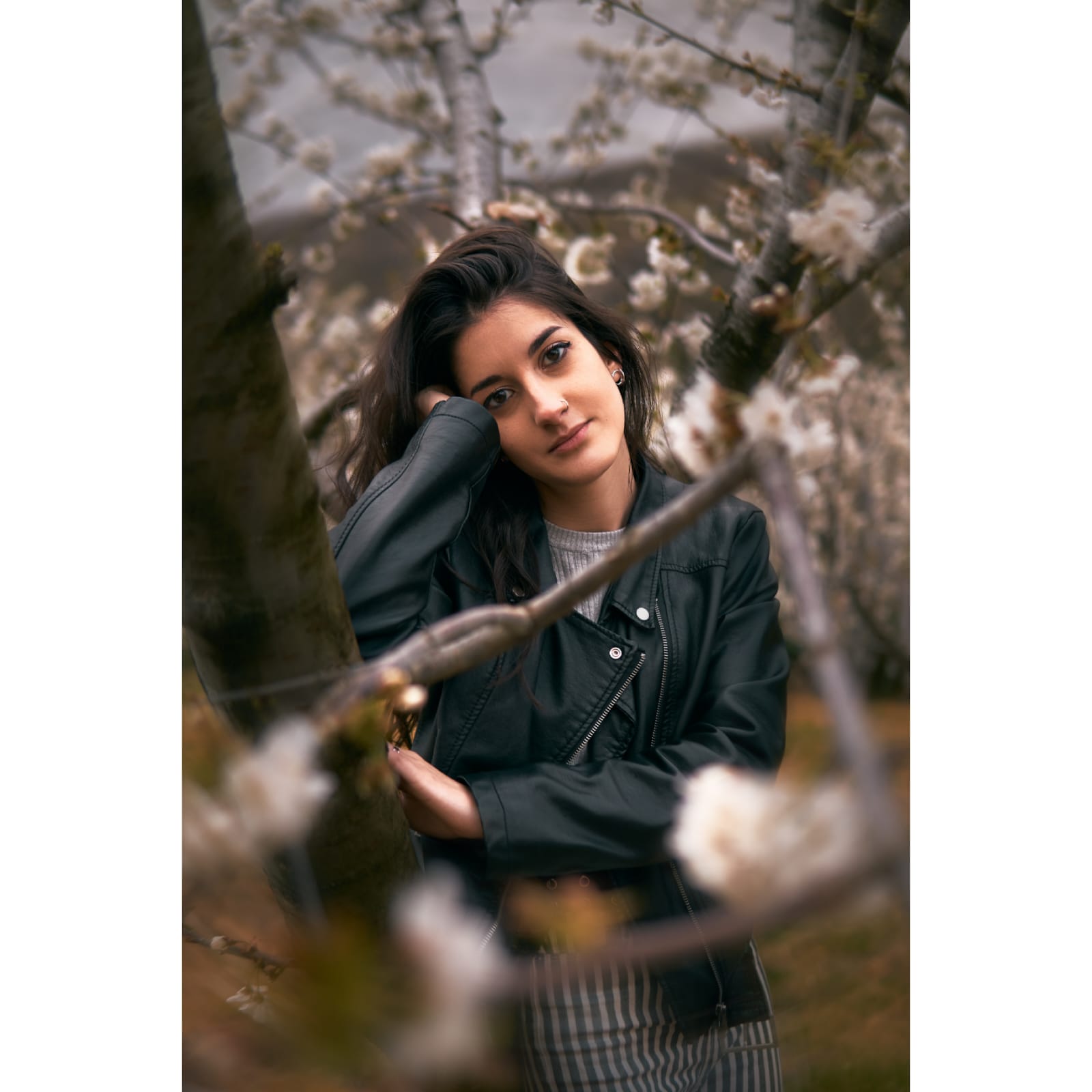 Yohana